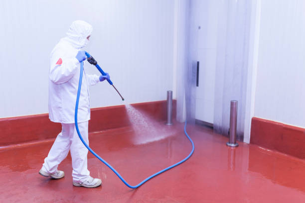 Best Pool Deck Cleaning  in Brentwood, PA